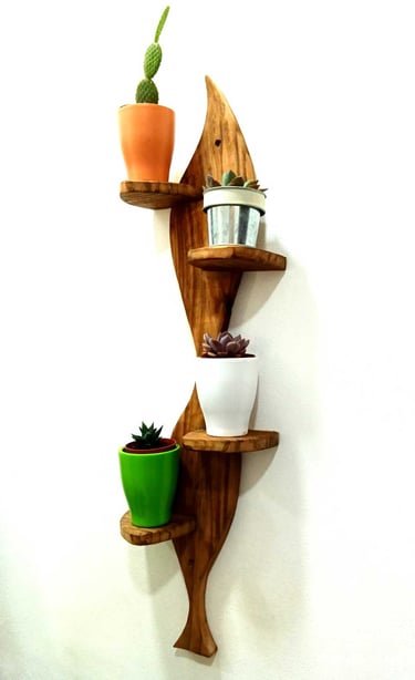 étagère bois pour cactus