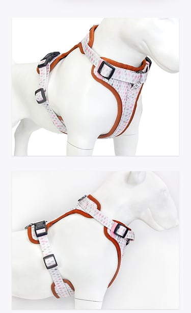 Dog Harness
