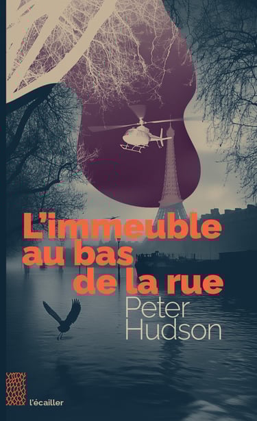 couverture du livre l'immeuble au bas de la rue par peter hudson
