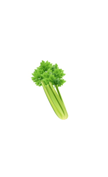 a branch of celery