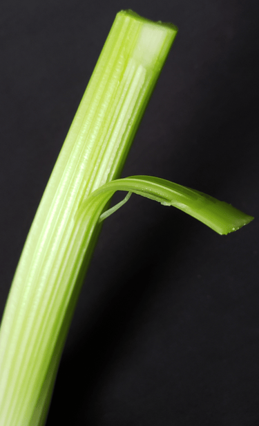 Celery