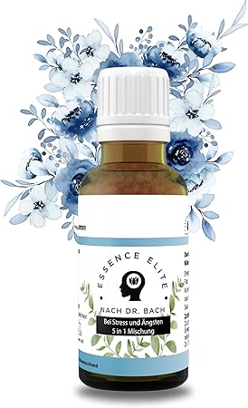 Prüfungsangst Globolis