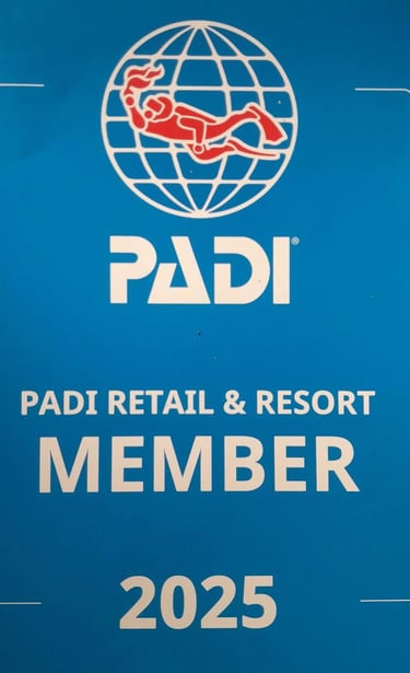 sunrise dive bali tour a padi retail & resort Member 2025
