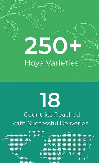 250+ Hoya varieties with successful delivery to 18 countries