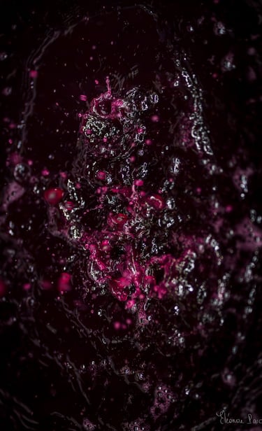 Gouttes vin lors du presssage en cuverie ©Eléonore Parc, photographie d'art