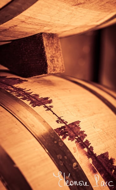 Vin coulant sur un fût, rappelant un tracé cardiaque. Série Que le Vin Fut