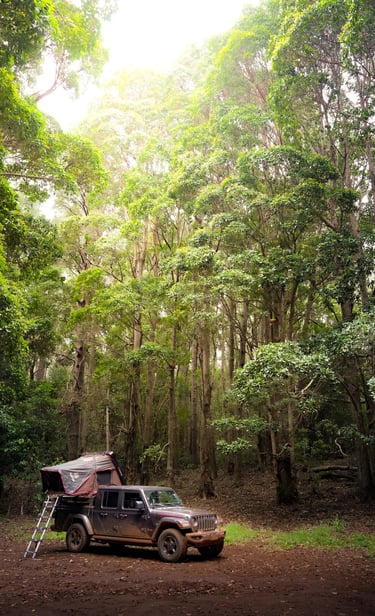 a truck parked in a forest with a tenter and a tent