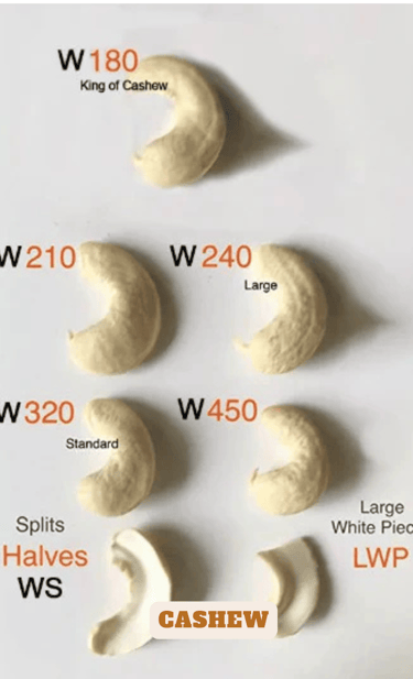 Cashew: "Raw cashew nuts with shells and kernels, popular Indian export snack"