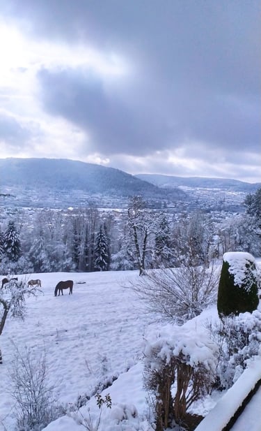 Vue enneigée sur la vallée de Remiremont