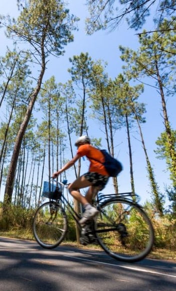 photo de la Vélodyssée à proximité du Camping les chênes dans les Landes