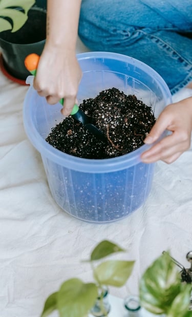 Soil in a tub