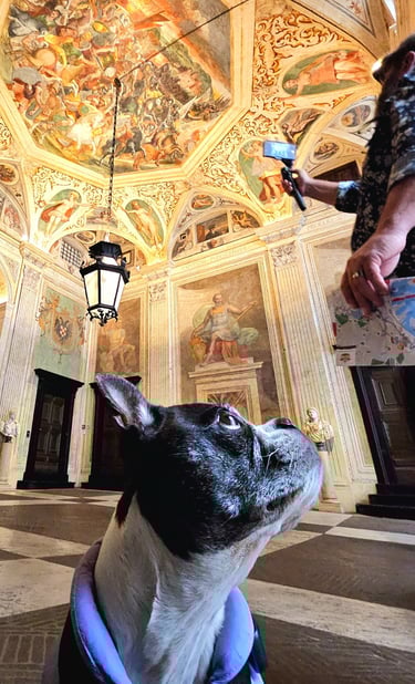 Yoki looking up at the fresco ceiling of a UNESCO palace in Genoa.