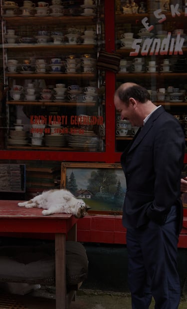 A man in a suit looks at a cat sleeping on a table outside a Turkish antique shop.