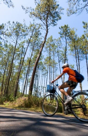 photo de la Vélodyssée à proximité du Camping les chênes dans les Landes