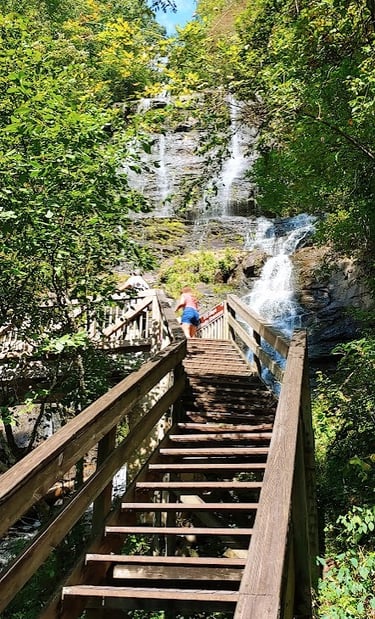 Dawsonville - Amicalola Falls has 175 steps up to the bridge and 425 steps more up to the top