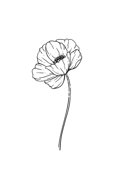 Elément décoratif - coquelicot monoligne noir Joanie Frigau