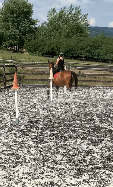 a woman riding a horse in a fenced in area