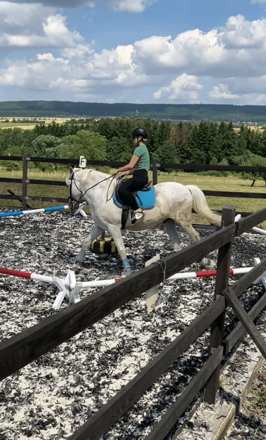 a woman riding a horse in a fenced in area