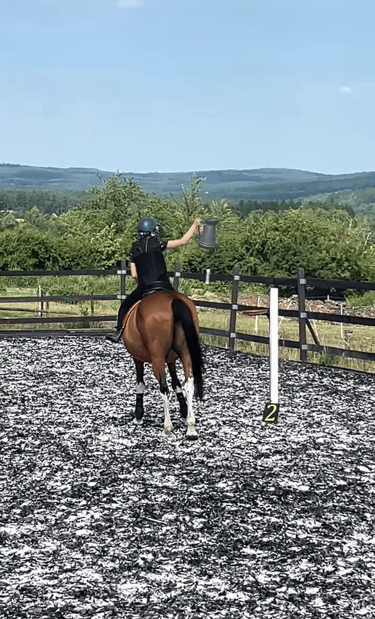 a person riding a horse in a field