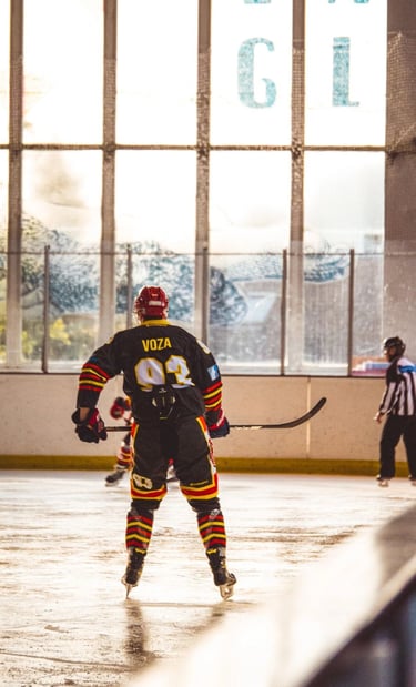 photographe orléans