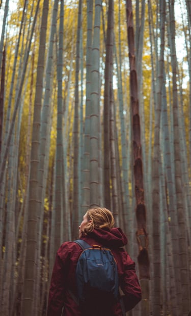 photographe orléans