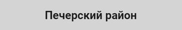 Телемастер Печерский район