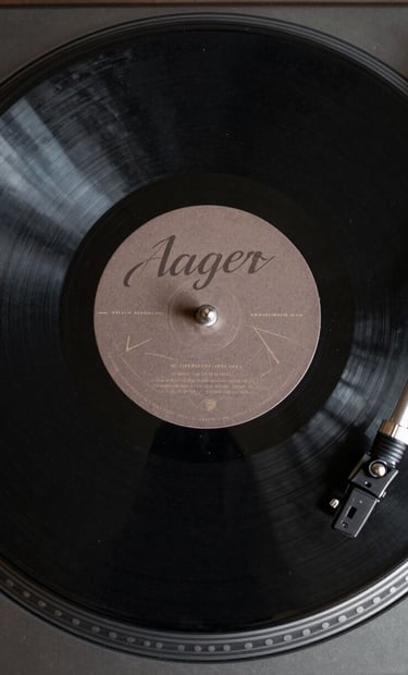 A minimalist top-down shot of a vinyl record spinning on a turntable. The record label features elegant typography in muted brown and taupe, set against a dark charcoal matte surface.