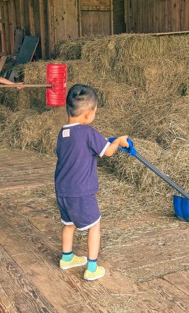 a young boy is holding a broom and a broom