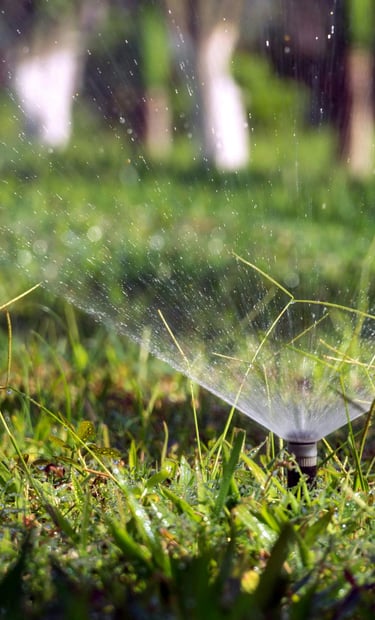 Automatic garden sprinkler spraying water on a lush green lawn during sunrise.