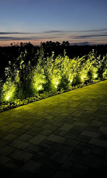 Professional LED landscape lighting illuminating a row of garden shrubs along a stone paver patio at dusk.