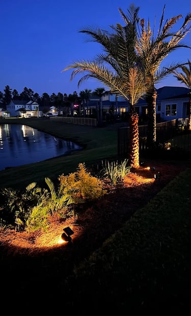 palm installation services with night uplighting