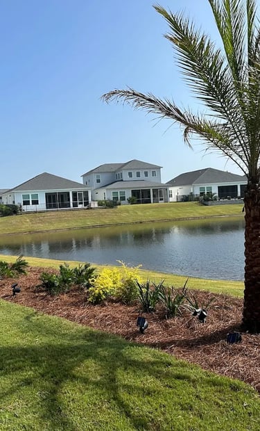 palm tree installation with front pond