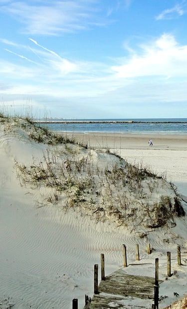 sandy beachside area in florida