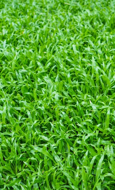 synthetic turf installation in santa rosa beach