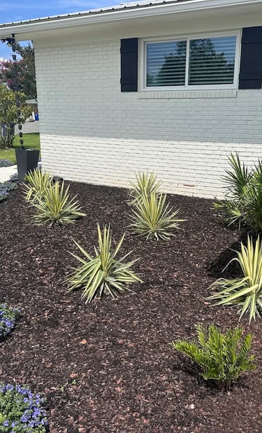 landscaped garden in florida