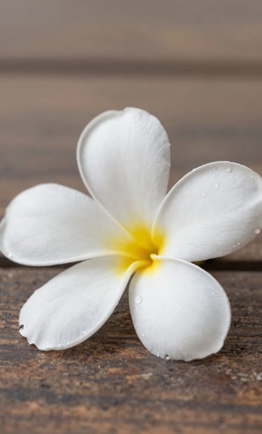 A close-up, minimalist shot of a white frangipani flower resting on weathered wood, capturing the delicate textures and natural beauty of Bali. Lighting is soft and natural. Palette includes #F8F5EF and #7B6654.