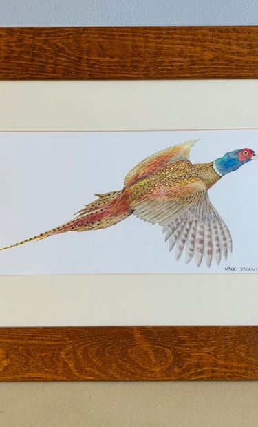 Pheasant