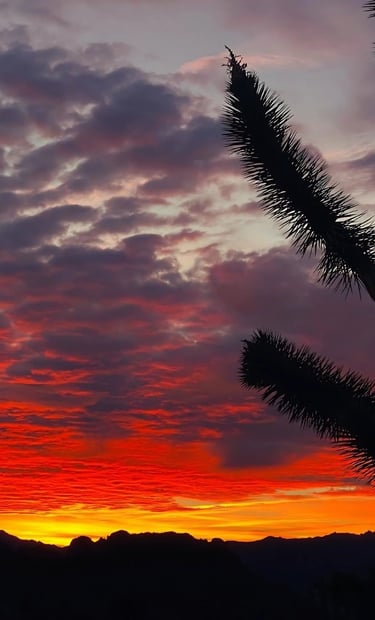 Mojave National Preserve