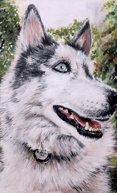 three pet portraits in bright painted colours, two cats and a husky dog