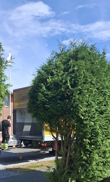 A delivery driver picks up an order of barn paint and loads it into his truck.