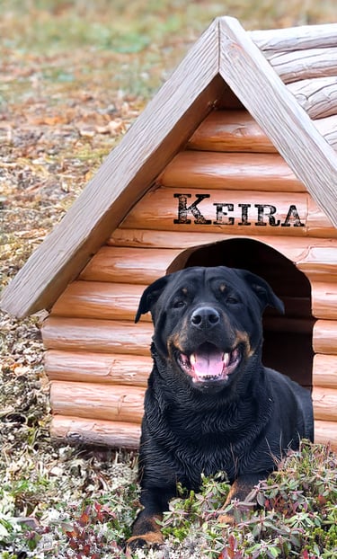 A dog house with a rottweiler sitting in the grass. The dog’s name is Keira, the namesake of our biz