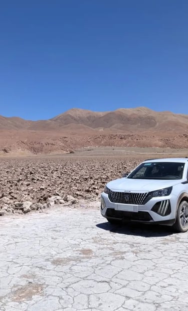 Аренда авто в Чили без кредитки и водителя - Роман Турвентур гид в Чили