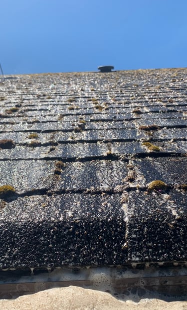 Roof Cleaning Service In Federal Way, WA