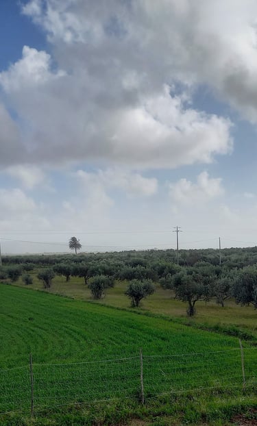 a field with a fenced in area with a fenced in area with a