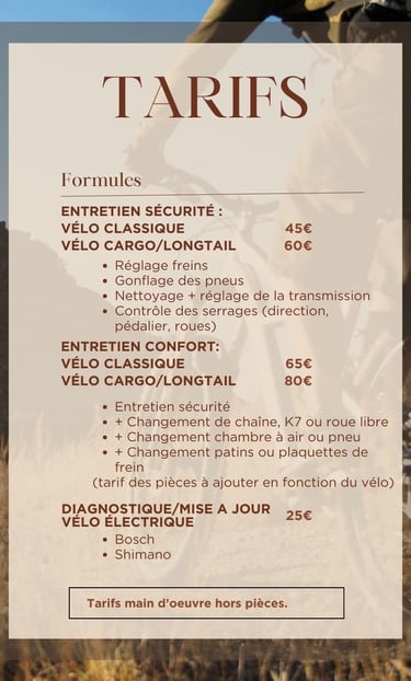 Entretien vélo électrique, VAE, vélo cargo, vélo longtail, vélo classique, VTT, a domicile Angers