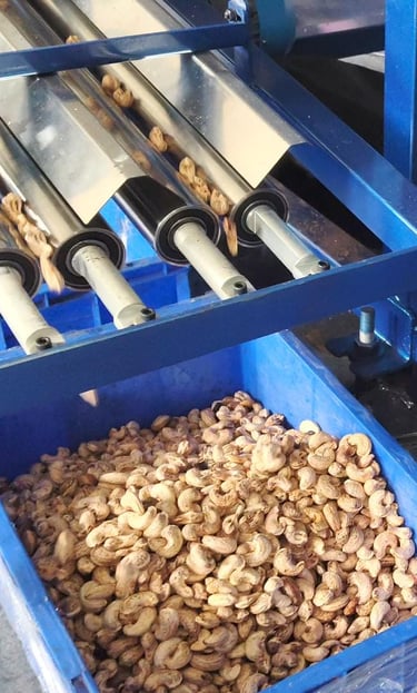 cashew kernel roller