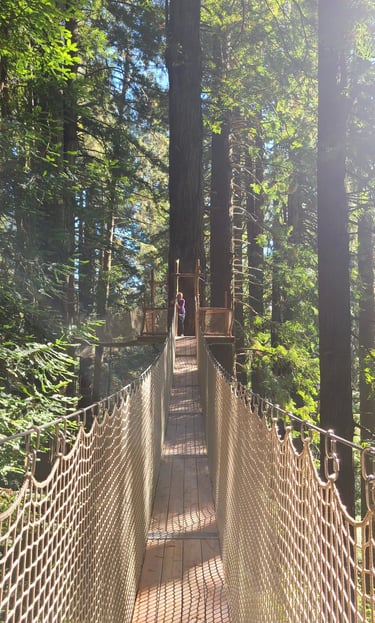 Health Vibes - Trees of Mystery canopy trail to conquer my fear of heights
