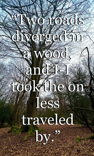 picture of nature with qoutes to keep you inspired on your road trips and adventures