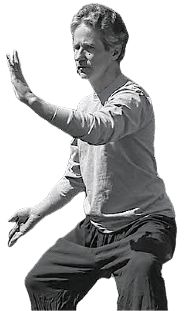 Bob's Chen Style Taijiquan (Tai Chi) form.