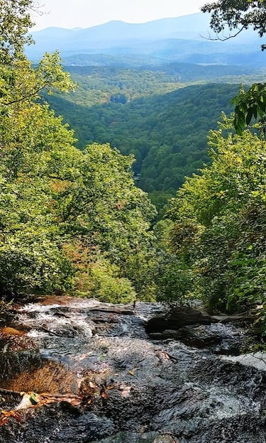 Amicalola Falls at the top where the creek begins it's 729 foot fall over the cliff